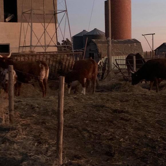 farmboys_94